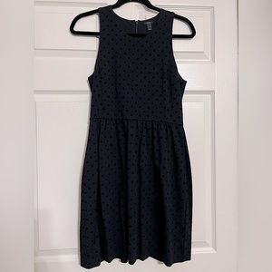 J Crew fit and flare dress